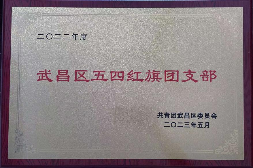 喜报!团武昌区委表彰冰球官网四个先进集体和个人! 喜报!团武昌区委表彰冰球官网四个先进集体和个人!