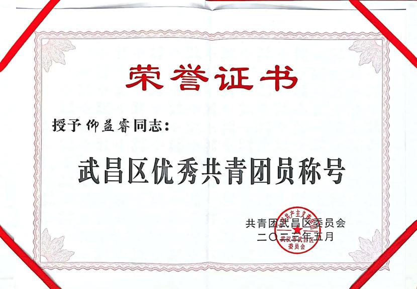 喜报!团武昌区委表彰冰球官网四个先进集体和个人! 喜报!团武昌区委表彰冰球官网四个先进集体和个人!