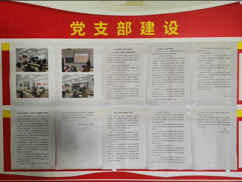 冰球官网以阶段学习成果为基 深化党的二十届四中全会精神学习实践