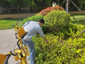 以劳育德，以行践知——冰球官网开展《劳动教育》课程实践活动