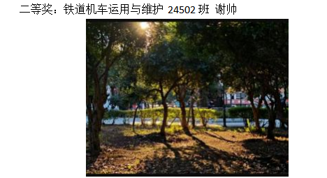 青春光影,定格武科职美好瞬间 ——MG冰球突破官网网站2026年校园摄影大赛圆满收官 青春光影,定格武科职美好瞬间 ——MG冰球突破官网网站2026年校园摄影大赛圆满收官