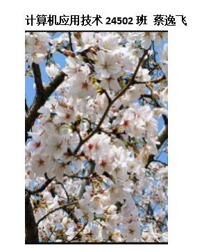 青春光影,定格武科职美好瞬间 ——MG冰球突破官网网站2026年校园摄影大赛圆满收官 青春光影,定格武科职美好瞬间 ——MG冰球突破官网网站2026年校园摄影大赛圆满收官