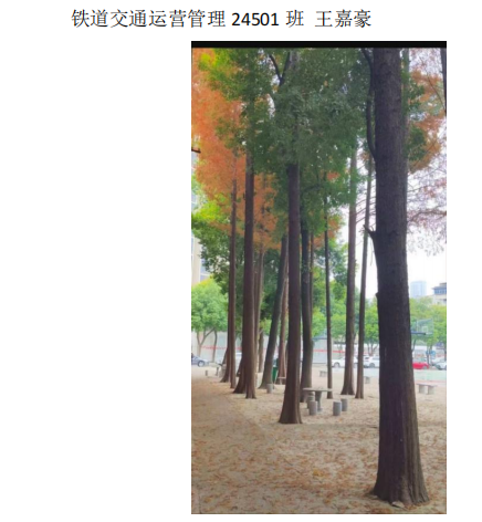 青春光影,定格武科职美好瞬间 ——MG冰球突破官网网站2026年校园摄影大赛圆满收官 青春光影,定格武科职美好瞬间 ——MG冰球突破官网网站2026年校园摄影大赛圆满收官
