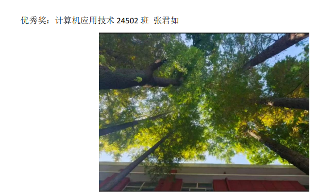 青春光影,定格武科职美好瞬间 ——MG冰球突破官网网站2026年校园摄影大赛圆满收官 青春光影,定格武科职美好瞬间 ——MG冰球突破官网网站2026年校园摄影大赛圆满收官