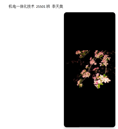 青春光影,定格武科职美好瞬间 ——MG冰球突破官网网站2026年校园摄影大赛圆满收官 青春光影,定格武科职美好瞬间 ——MG冰球突破官网网站2026年校园摄影大赛圆满收官