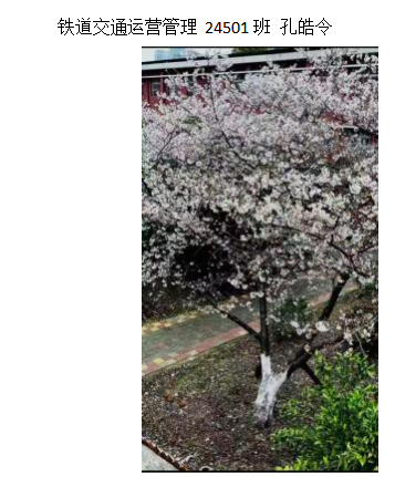 青春光影,定格武科职美好瞬间 ——MG冰球突破官网网站2026年校园摄影大赛圆满收官 青春光影,定格武科职美好瞬间 ——MG冰球突破官网网站2026年校园摄影大赛圆满收官