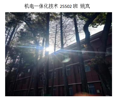 青春光影,定格武科职美好瞬间 ——MG冰球突破官网网站2026年校园摄影大赛圆满收官 青春光影,定格武科职美好瞬间 ——MG冰球突破官网网站2026年校园摄影大赛圆满收官