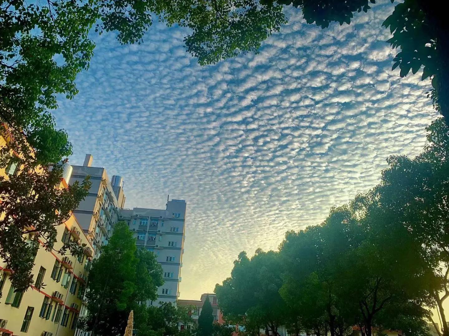 毕业进国企,福利好,待遇高;MG冰球突破官网网站学生很“清高 毕业进国企,福利好,待遇高;MG冰球突破官网网站学生很“清高