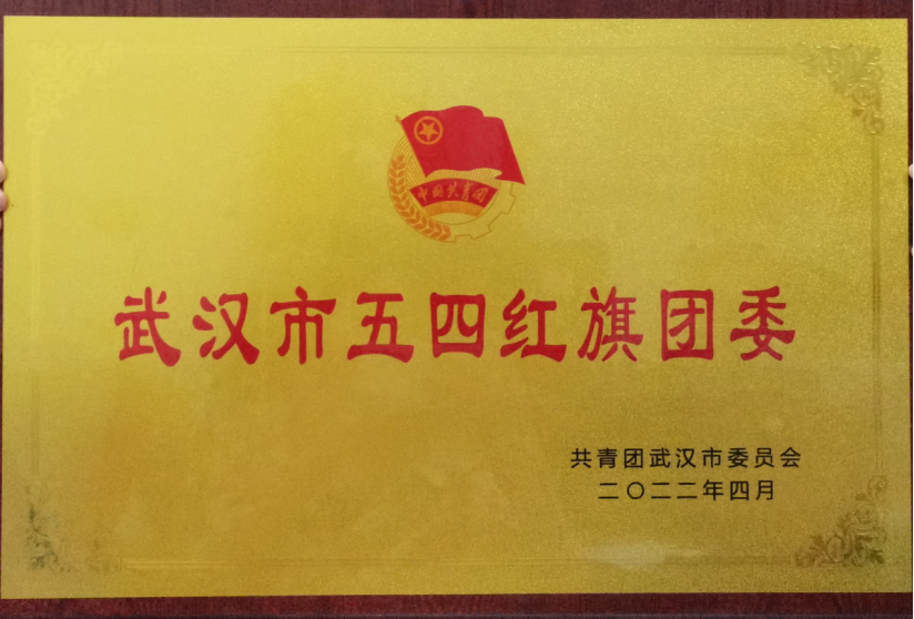 喜报！冰球官网团委工作荣获武汉市和武昌区五四表彰多项荣誉
