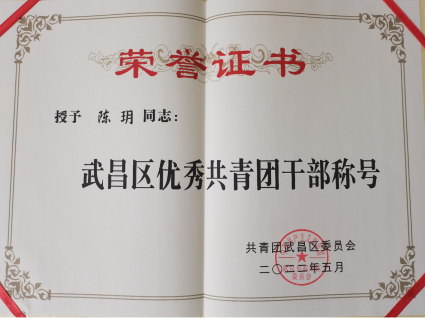 喜报！冰球官网团委工作荣获武汉市和武昌区五四表彰多项荣誉